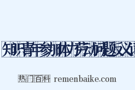 知识青年参加体力劳动问题反义词是什么意思的图片
